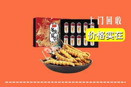 临夏县回收冬虫夏草